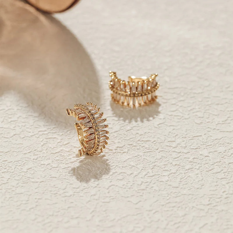 Shiny Zircon Earrings