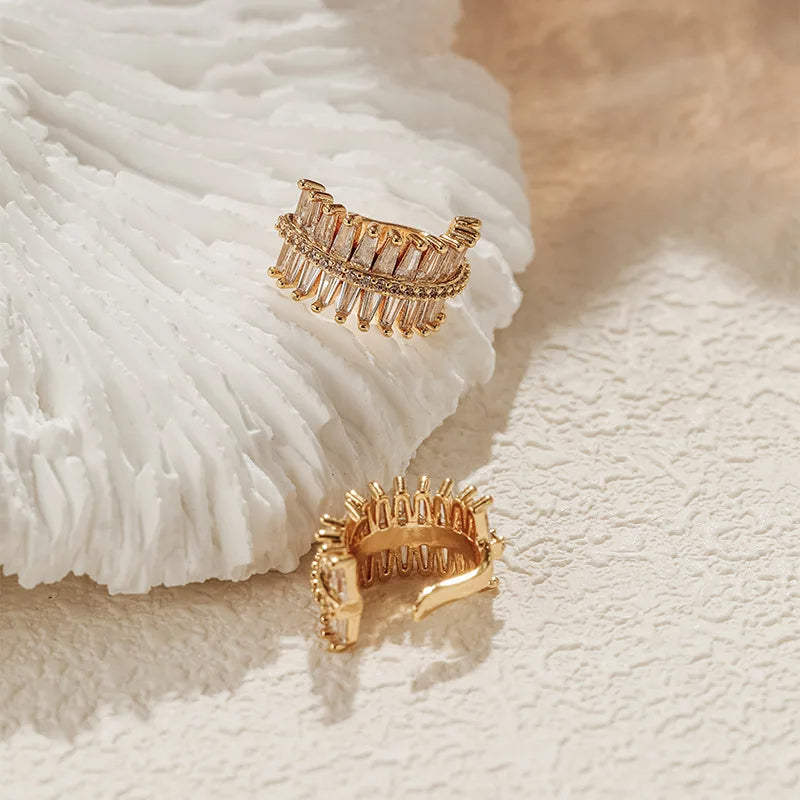 Shiny Zircon Earrings
